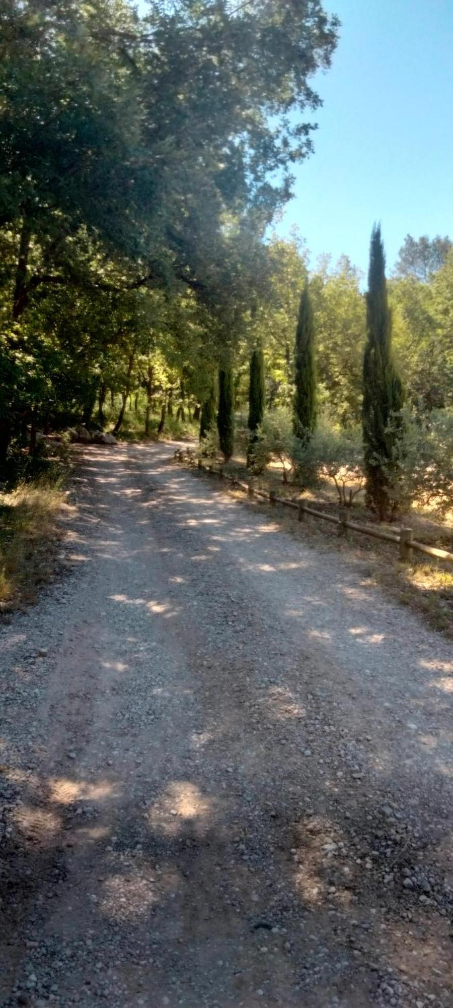La Cabane En Bois Tourves Kültér fotó