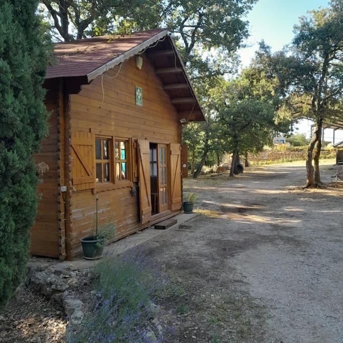 La Cabane En Bois Tourves Kültér fotó